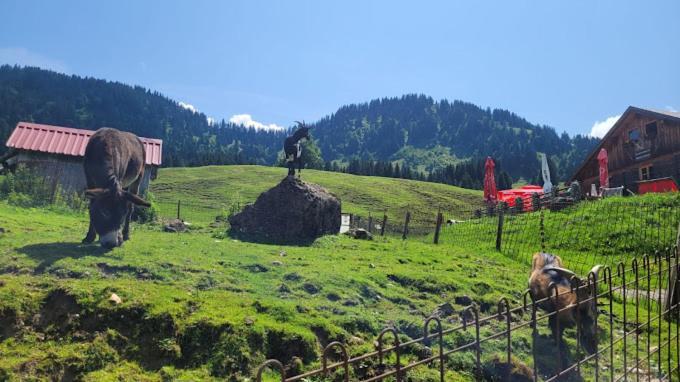 Villa Jausenstation Neuschwand à Hittisau Extérieur photo