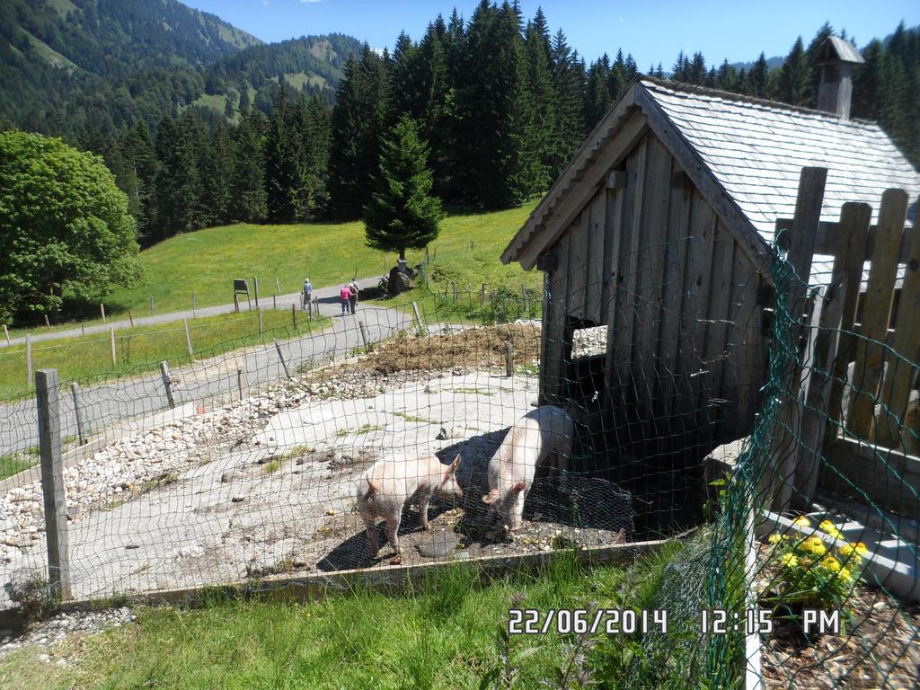 Villa Jausenstation Neuschwand à Hittisau Extérieur photo