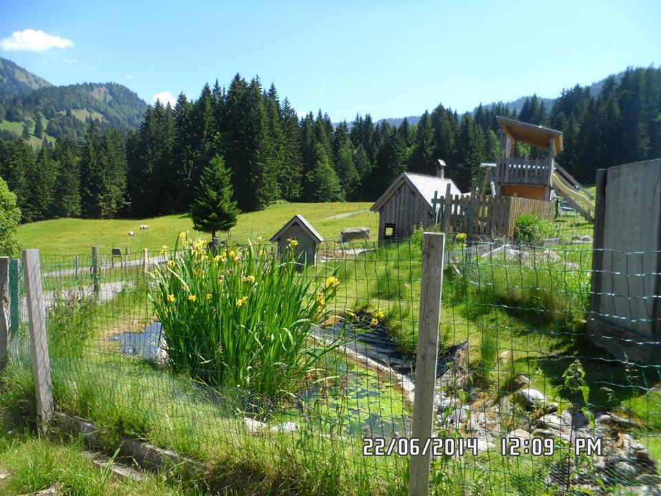 Villa Jausenstation Neuschwand à Hittisau Extérieur photo