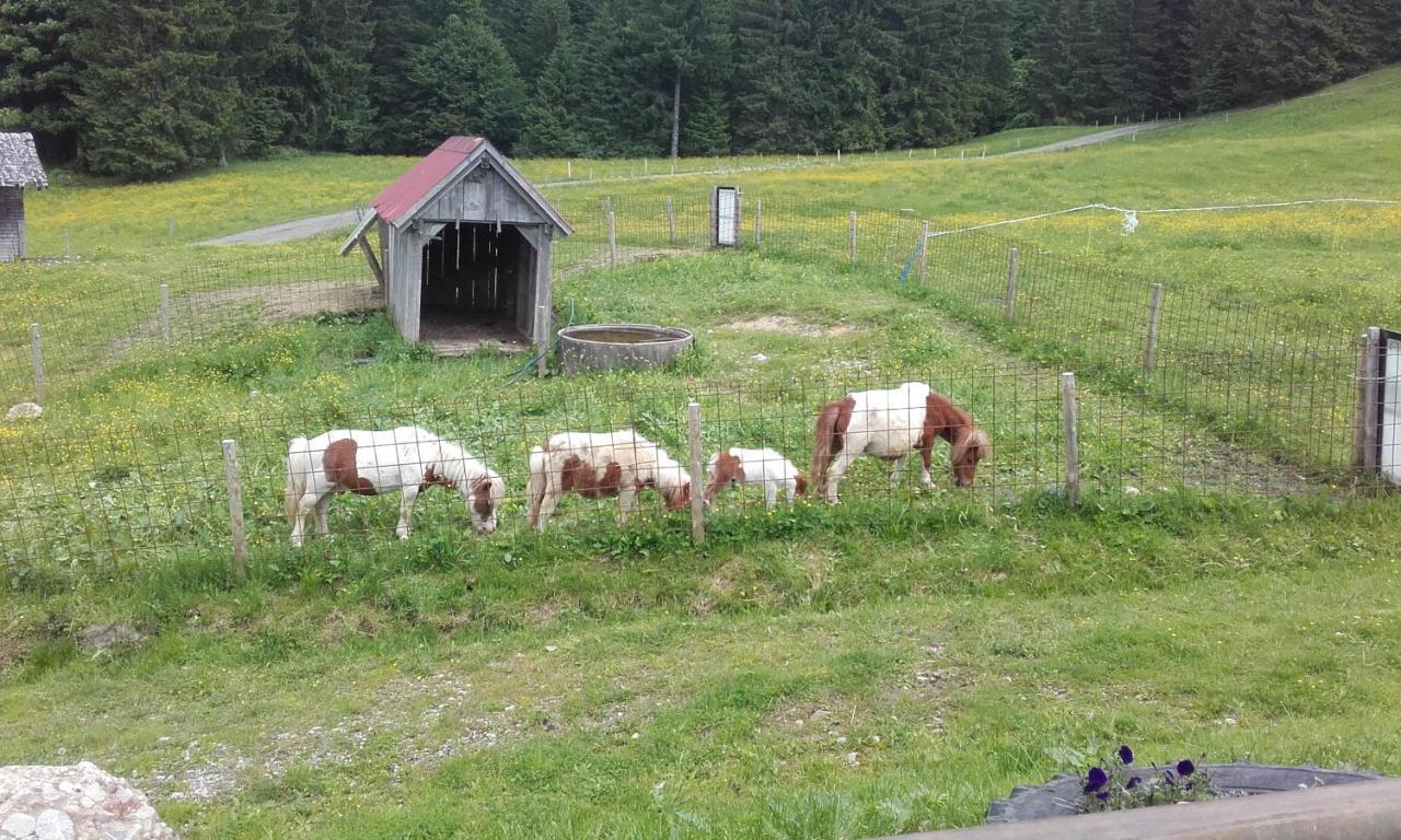 Villa Jausenstation Neuschwand à Hittisau Extérieur photo